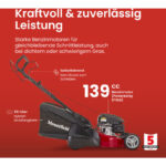 Mountfield Rasenmäher S421R PD, 41 cm – Selbstfahrend, Fangkorb 55 l